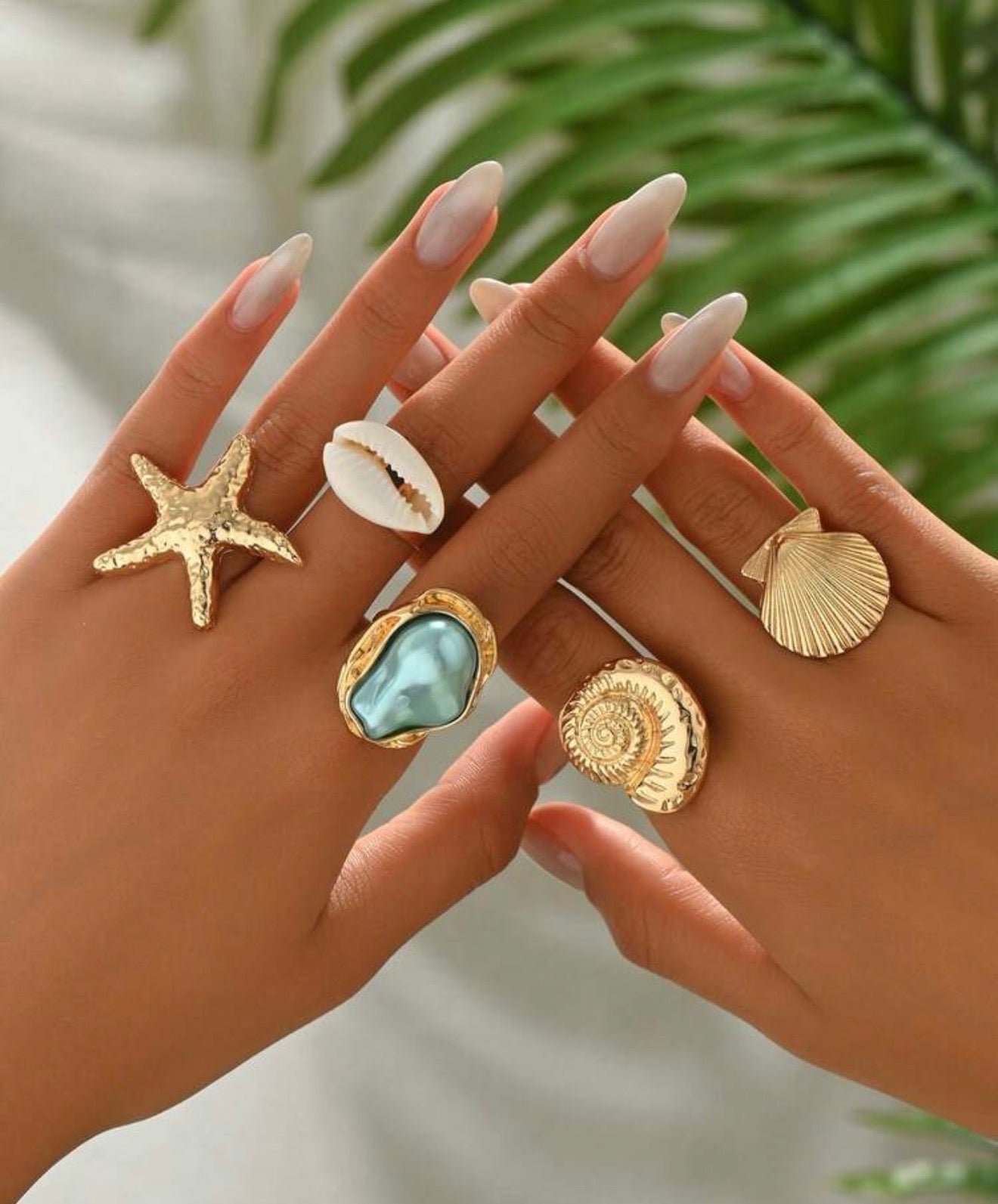 Seashell rings