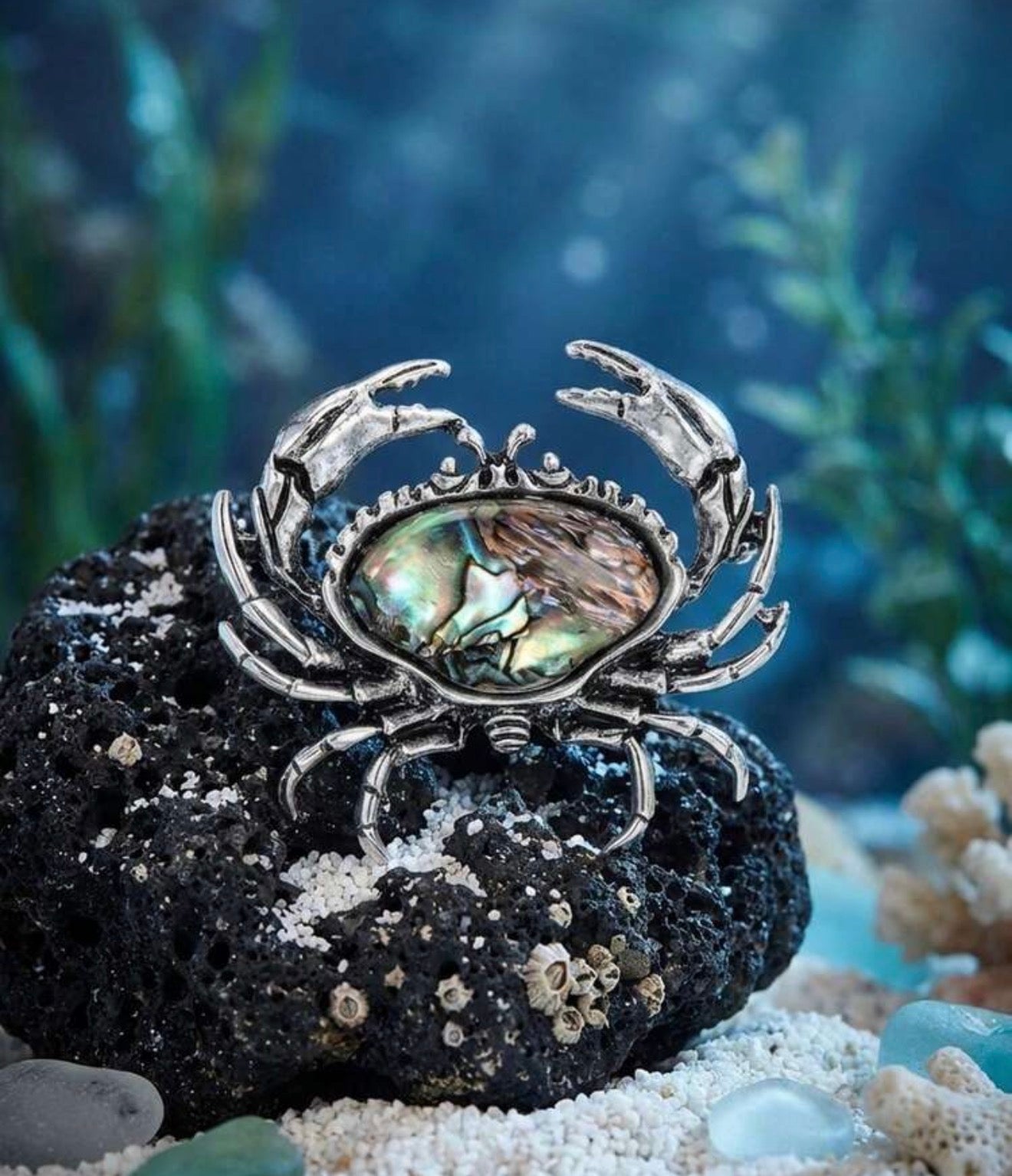 Silver crab pin